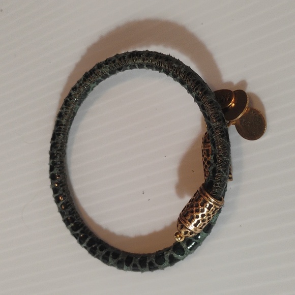 Alex and Ani Bundle Of 5 Bracelet Charms For One Price - Picture 3 of 6